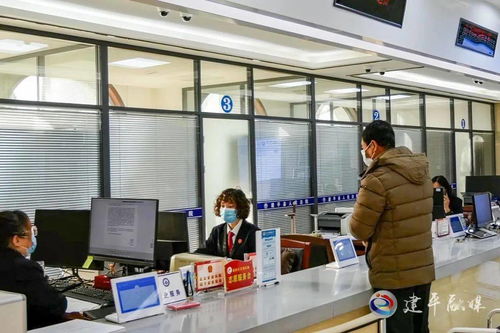 审判质效再提速，司法服务有温度——法律咨询引领公平正义新风尚